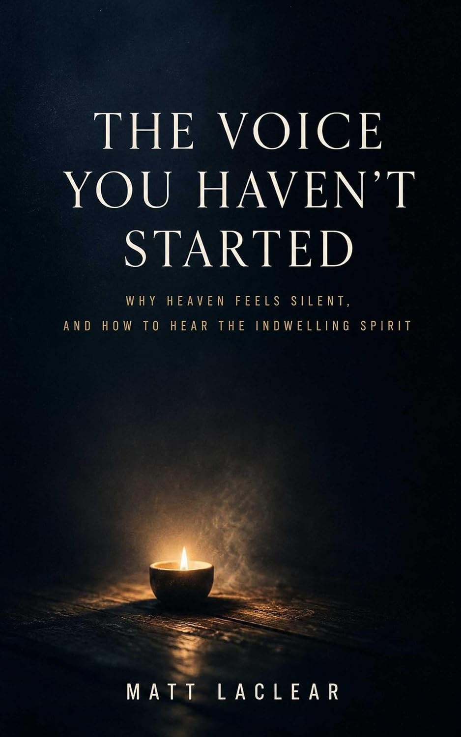 The Voice You Haven't Started book cover